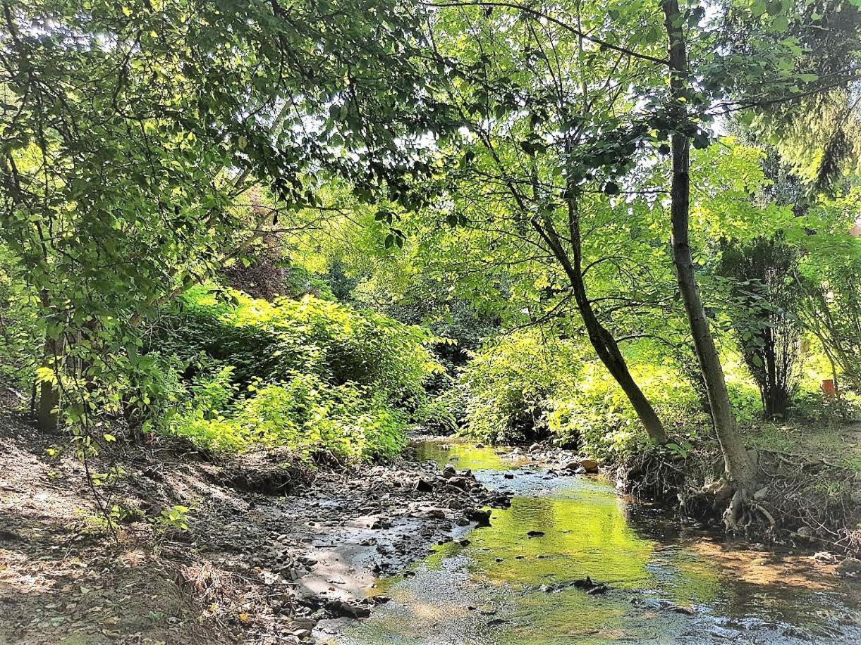 نزل Parádفي Muskatli Vendeghaz المظهر الخارجي الصورة